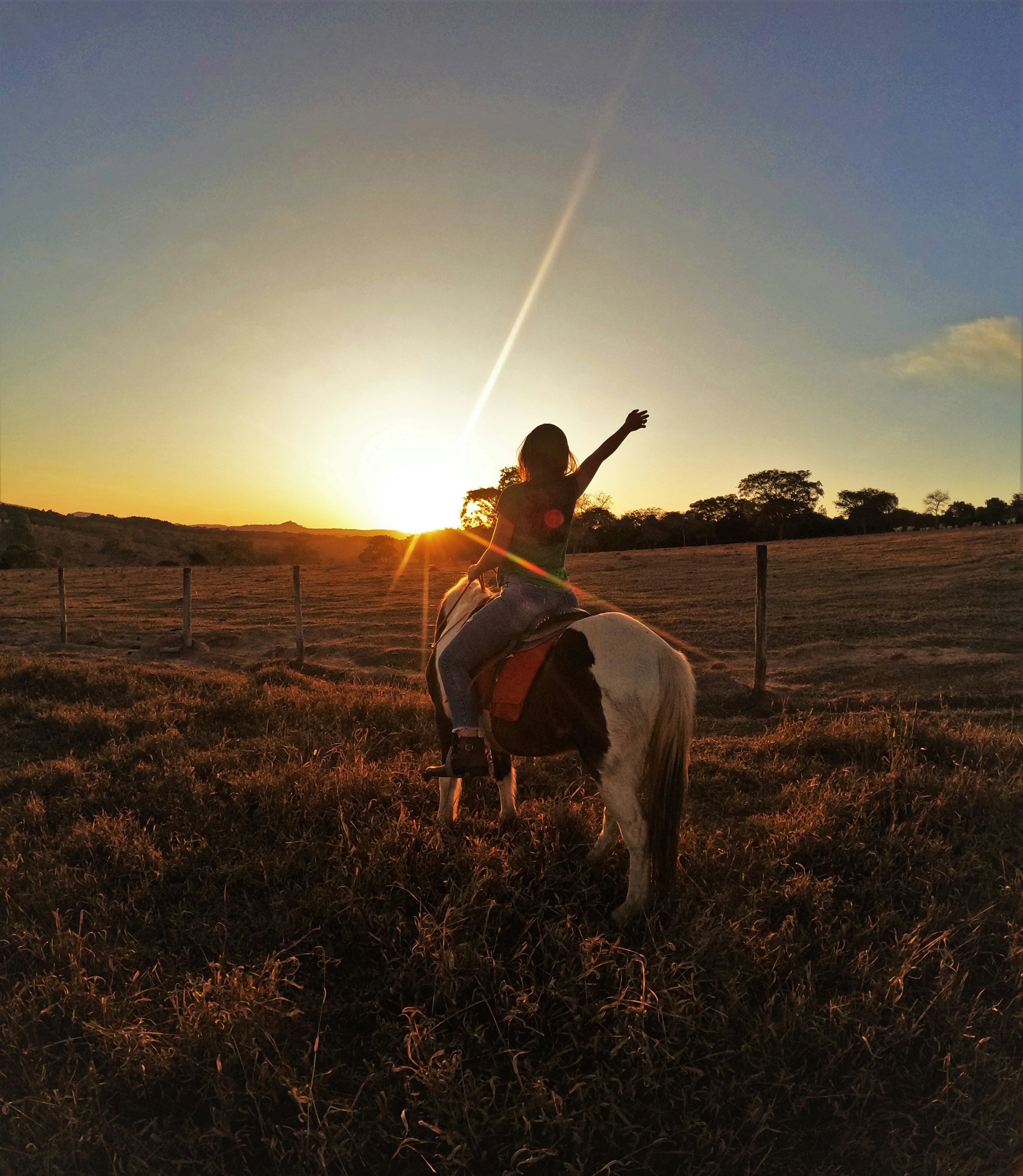 Penedès Horseback & Wine Escape — photo 2