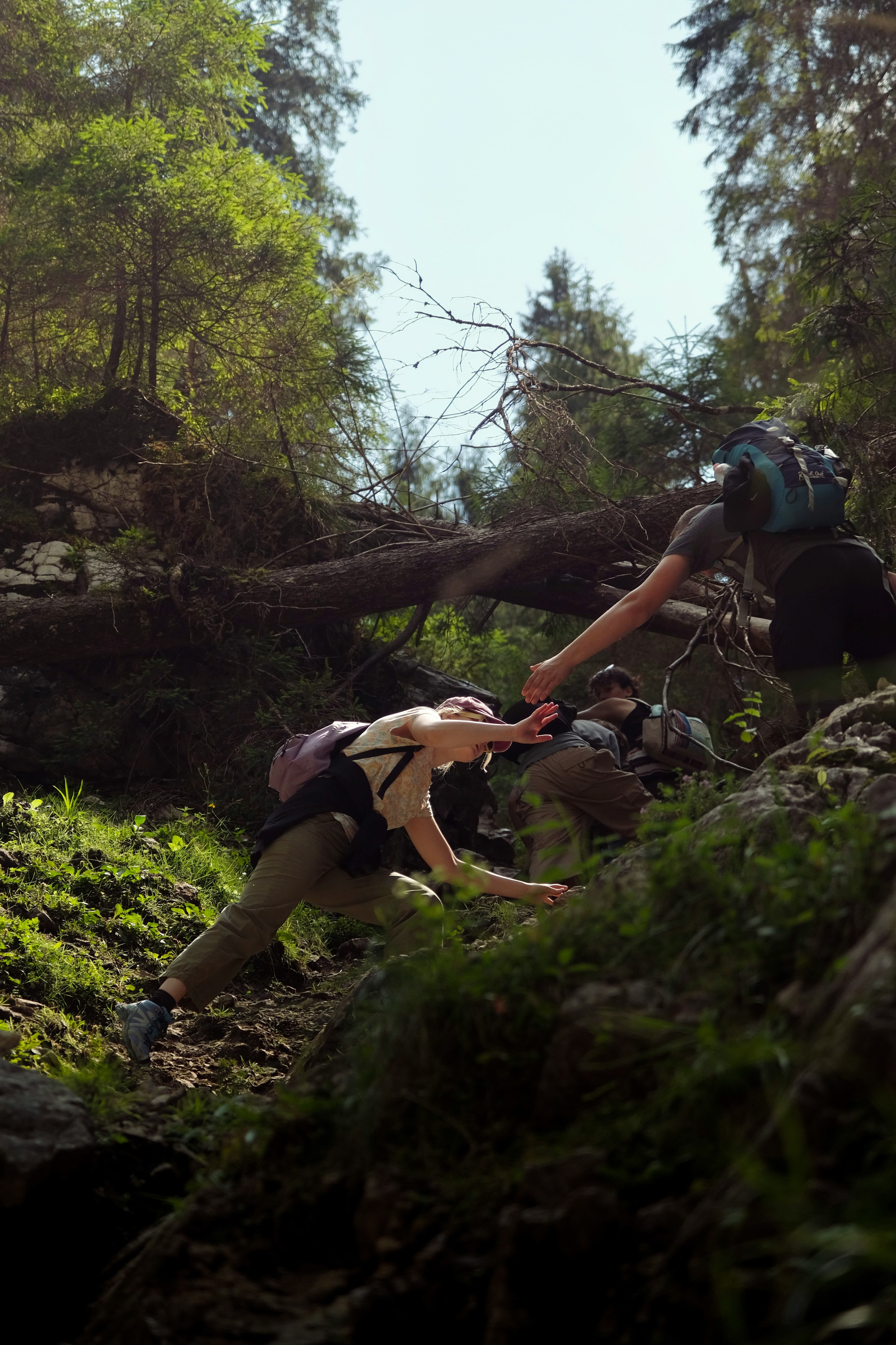 Into the Wild Together — снимка 3