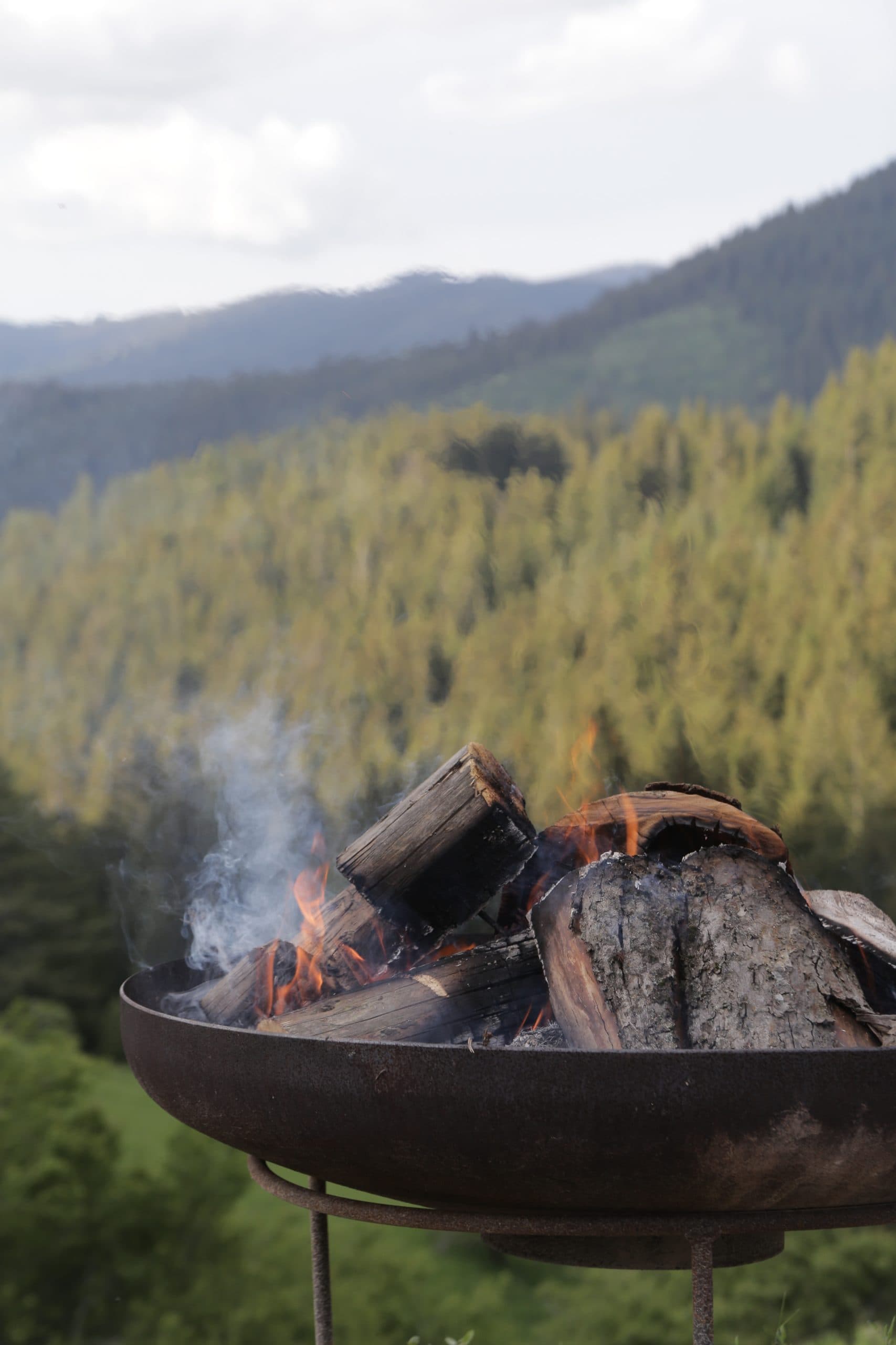 Rhodope Mountain Retreat — снимка 3