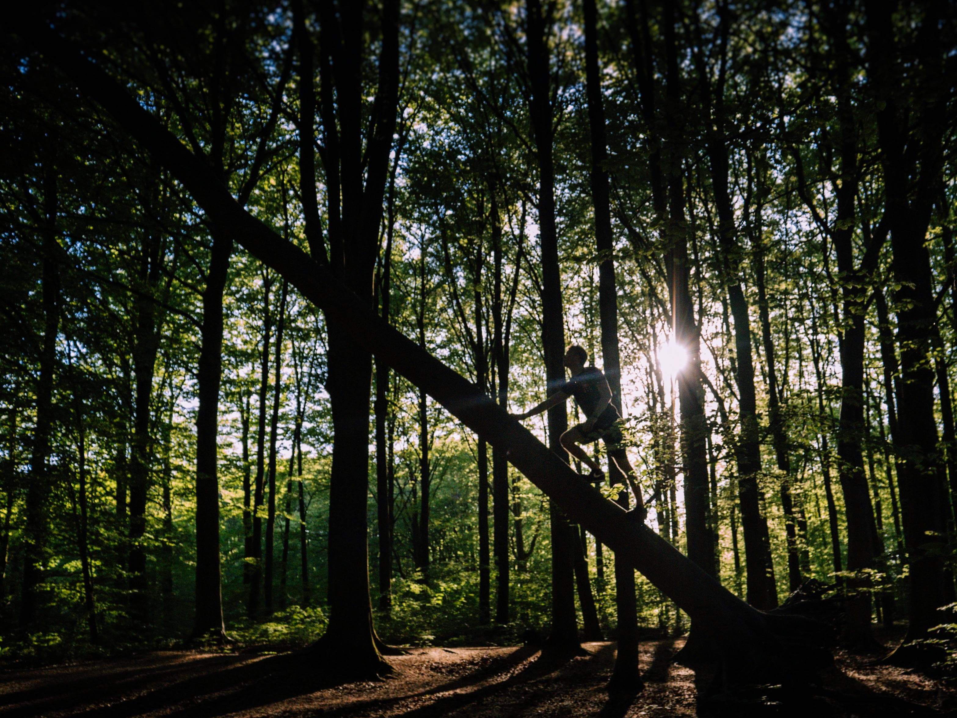 Into the Wild Together — снимка 4