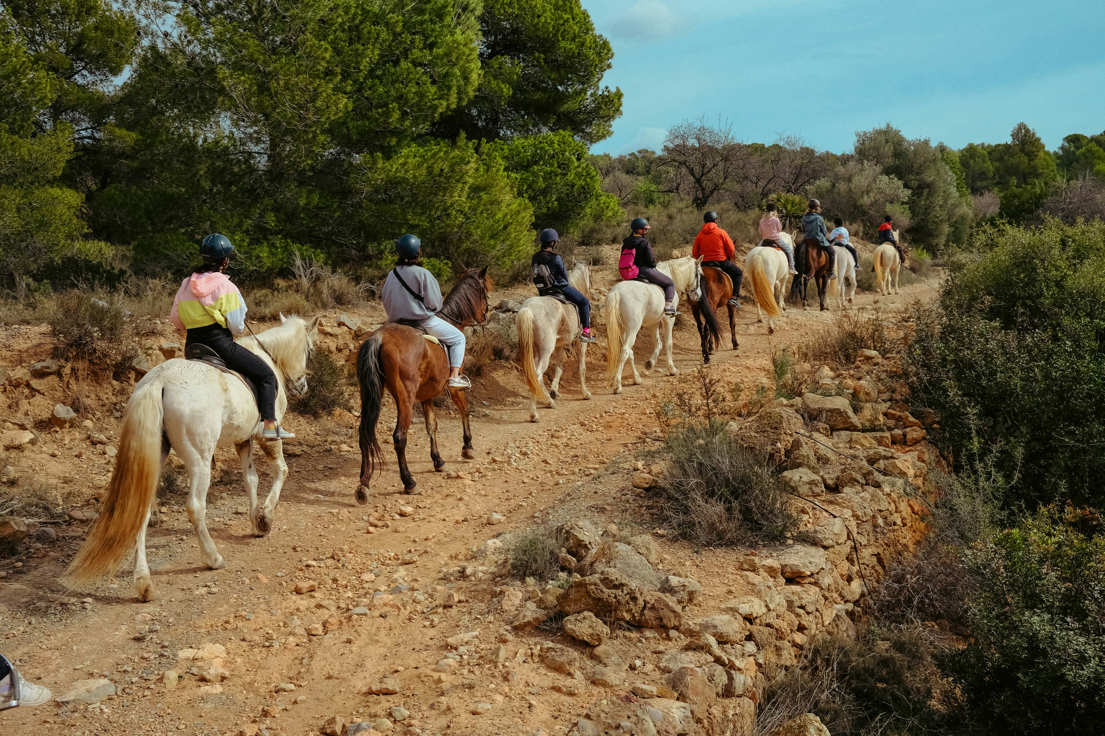 Penedès Horseback & Wine Escape — photo 1