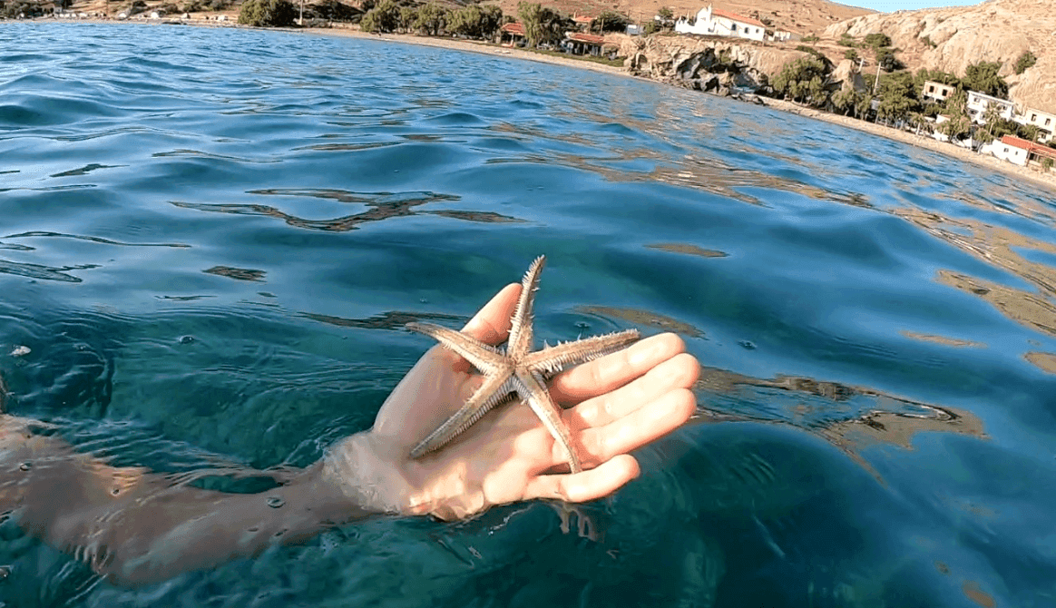 Mediterranean Sea Escape — снимка 5