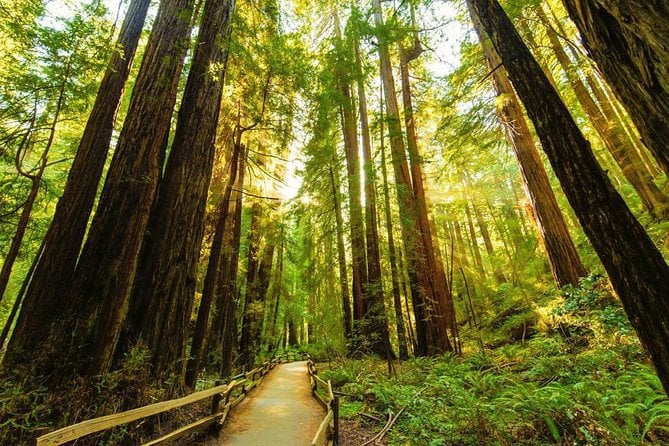 Golden Gate Bridge Muir Woods Sausalito with Optional Alcatraz — photo 1