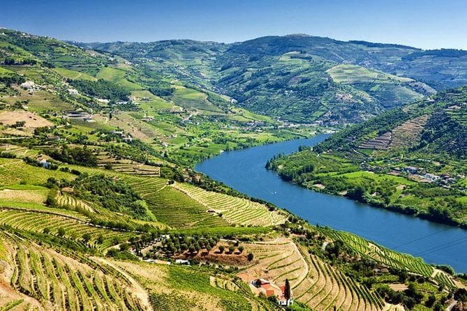 Douro Valley Wine Adventure: Team Tasting and Cruise Experience — photo 2