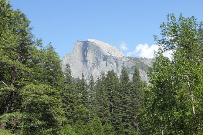 Yosemite Grand Adventure - day tour from S. Lake Tahoe — photo 4