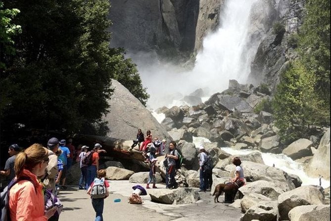 Small Group Yosemite and Giant Sequoias Day Trip from San Francisco — снимка 2