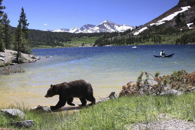 Small Group Yosemite and Giant Sequoias Day Trip from San Francisco — снимка 1