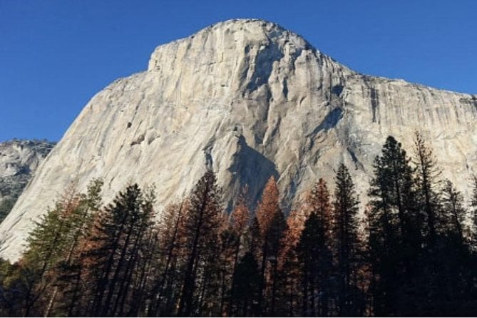 Small Group Yosemite and Giant Sequoias Day Trip from San Francisco — снимка 5
