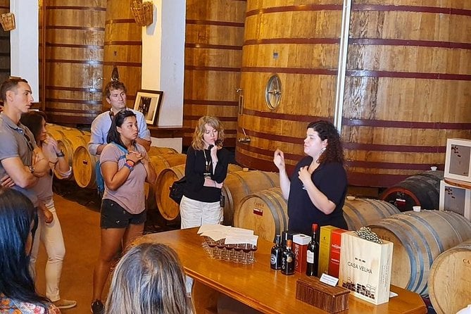 Douro Valley Wine Adventure: Team Tasting and Cruise Experience — photo 4