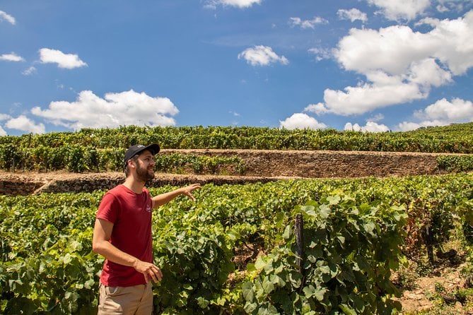 Douro Valley Wine Adventure: Team Tasting and Cruise Experience — photo 1