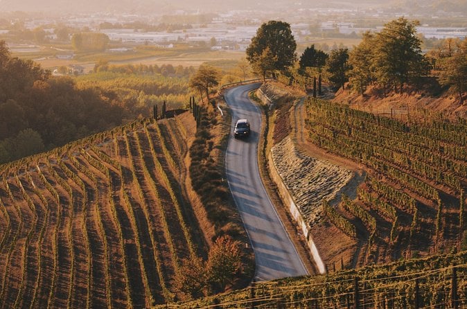 6-hour Private Luxury SUV Wine Tour in Napa Or Sonoma Valley — photo 2