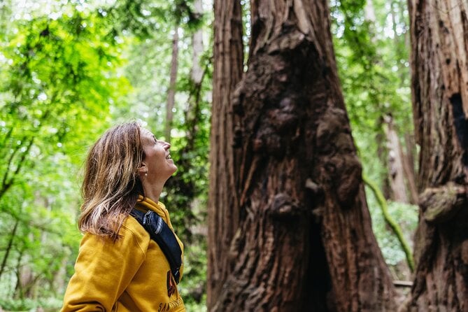 Muir Woods and Sausalito Tour (Return by Bus or Ferry) — photo 1