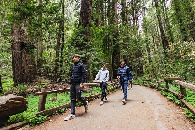 Muir Woods and Sausalito Tour (Return by Bus or Ferry) — photo 4
