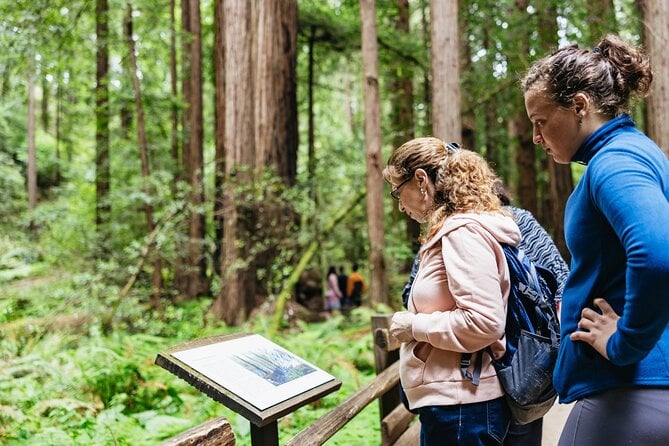 Muir Woods and Sausalito Tour (Return by Bus or Ferry) — photo 5
