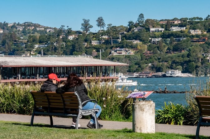Muir Woods and Sausalito Tour (Return by Bus or Ferry) — photo 3