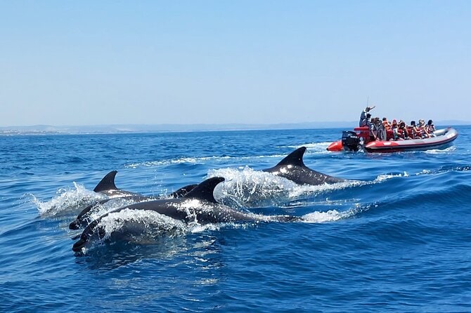 Ocean Adventure and Team Exploration in Albufeira