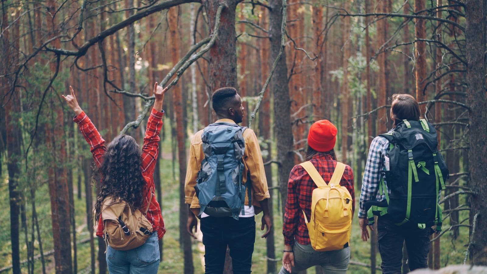 Friends hiking together through a pine forest