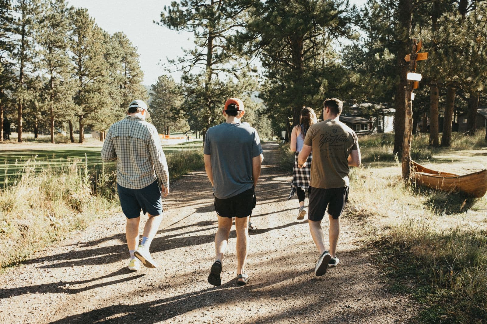 Friends walking the same path through pine trees