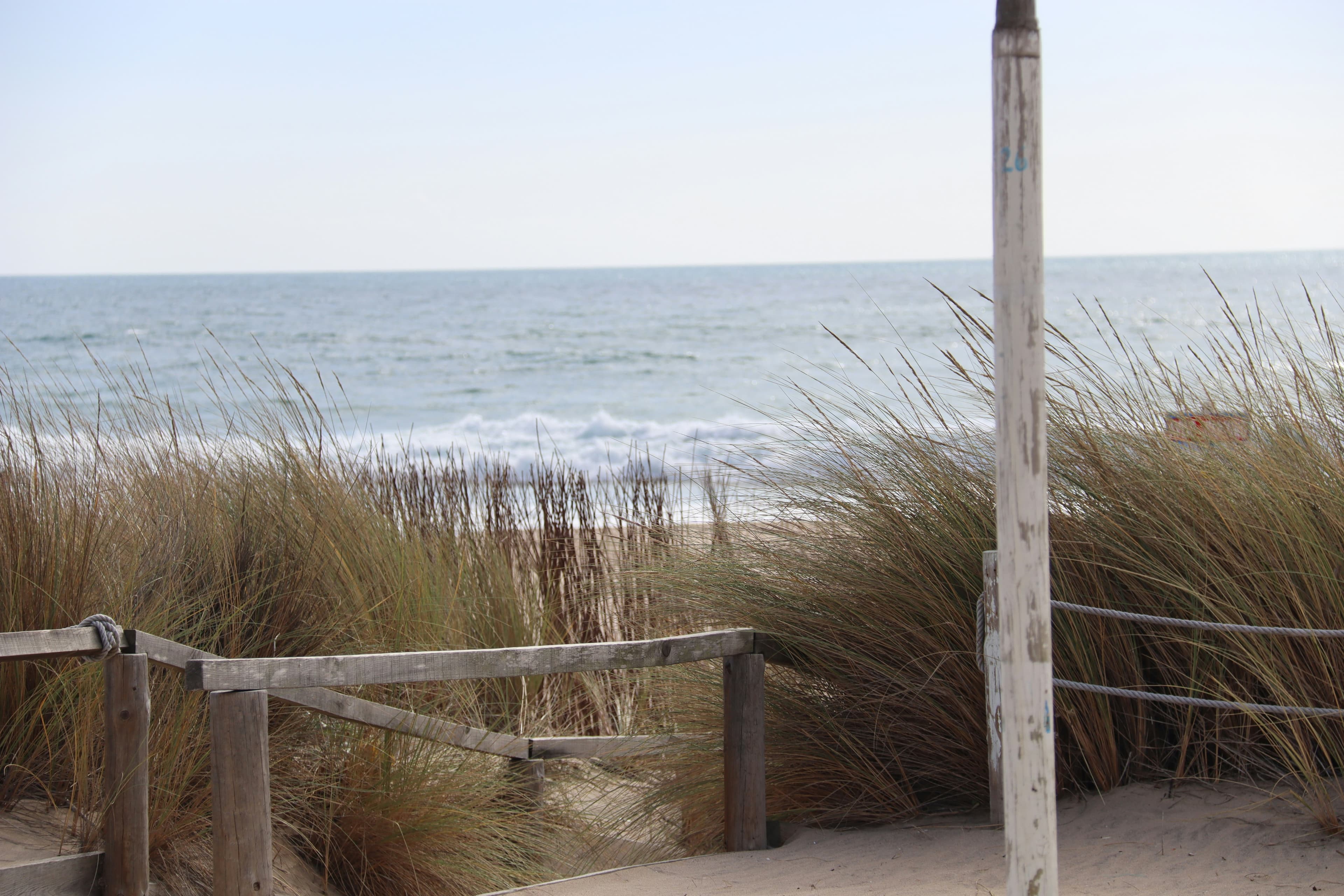 Surf Team Experience — photo 5